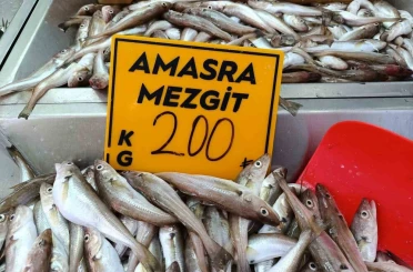 Balıkçılar palamut için "kestane karası"nı bekliyor 