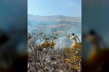 Balıkesir’de bir günde 7 farklı alanda yangın çıktı 