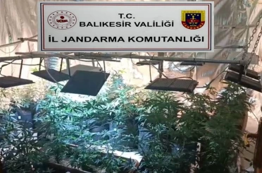 Balıkesir’de jandarmadan uyuşturucu serasına çevrilen evlere baskın: 12 gözaltı 
