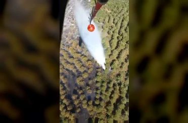 Balıkesir’de orman yangını 