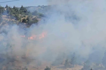 Balıkesir’de otluk ve koruluk alanda yangın 