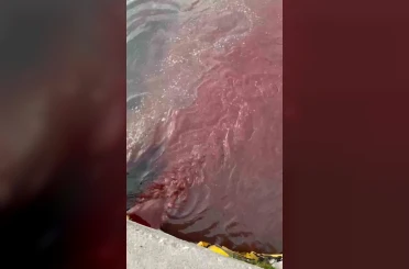 Bandırma’da deniz yüzeyi kırmızıya döndü 