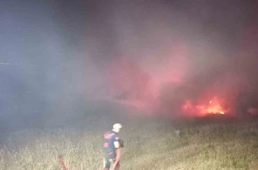 Bandırma’da eski askeri çamlıkta çıkan yangın söndürüldü 