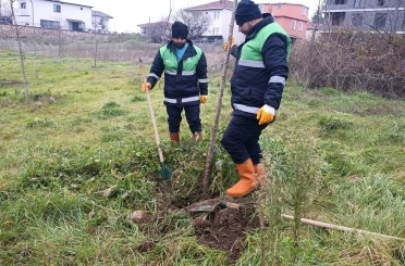 Başiskele’de yeşil alan çalışmaları devam ediyor 
