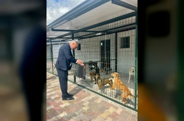 Başkan Yıldırımkaya: "Sultanhisar’da can dostlar emin ellerde" 
