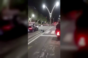 Batman’da domuz dehşeti: Yayaya çarpıp yaraladı, trafiğin altını üstüne getirdi 