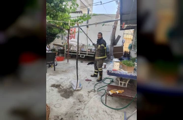 Batman’da evin bahçesine giren yılan paniğe neden oldu 