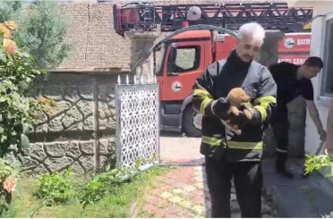 Batman’da fabrika duvarına sıkışan köpek kurtarıldı, işçiler hayvanı sahiplendi 