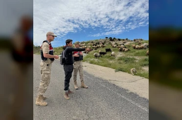 Batman’da Jandarma, Kurban Bayramı öncesi hırsızlara karşı besicileri uyardı 