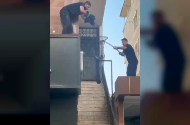 Batman’da metruk binada kilitli kalan 5 yavru kedi kurtarıldı 