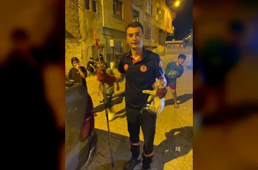 Batman’da pano içinde mahsur kalan kedileri itfaiye ekipleri kurtardı 