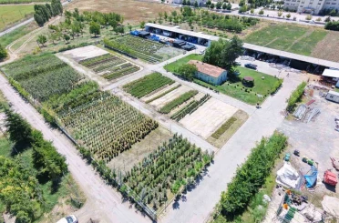 Battalgazi Belediyesi parklarda kendi üretimini kullanıyor 