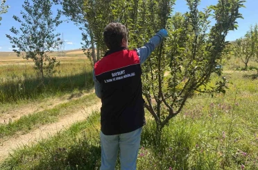 Bayburt’ta hasat öncesi pestisit denetimleri başladı 