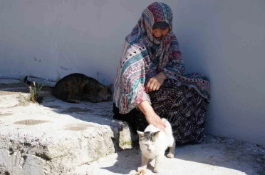 Bayburt’ta senelerdir sahipsiz hayvanları besleyen kadın, 10 yıldır baktığı sokak kedisini kaybetti: "İki gün ağladım" 