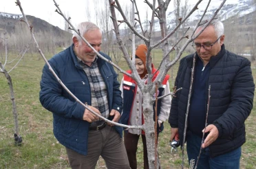 Bayburt’ta üreticilere aşılama ve budama eğitimi verildi 