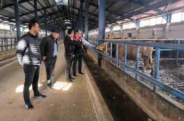 Bayburt’ta yüzde 50 hibe desteğiyle kurulan hayvancılık işletmesi incelendi
