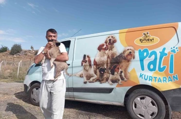 Belediye ekipleri nefes kesen operasyonla yavru köpeği kurtardı 