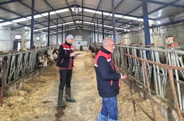 Besicilik işletmelerine yönelik ‘kapasite ölçümleri’ devam ediyor 