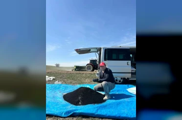 Beypazarı’nda çörek otu ekimi başladı 