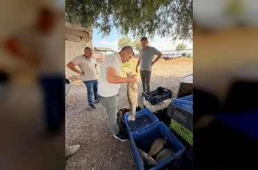 Beyşehir Gölü'nde avlanan balıklar tek tek kontrol edildi