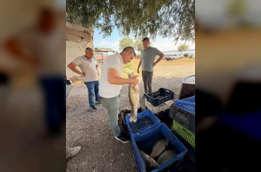 Beyşehir Gölü’nde avlanan balıklar tek tek kontrol edildi 