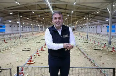 Bilecik 11,5 milyon kanatlı hayvana ev sahipliği yapıyor

