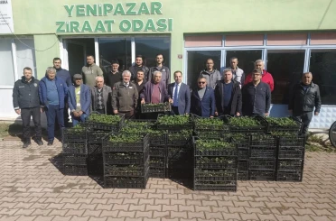 Bilecik’te 8 bin çilek fidesi üreticiyle buluştu 