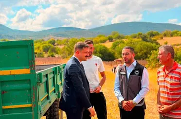 Bilecik’te ayçiçeği ekimi 3 yılda 11 bin 700 dekar arttı
