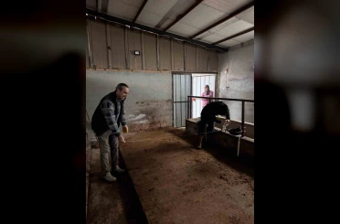 Bilecik’te büyükbaş hayvancılık işletmelerinde kapasite kontrolleri 