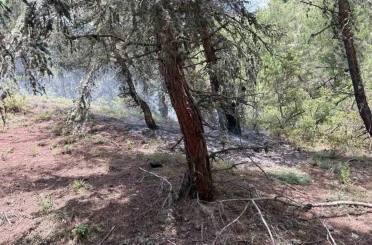 Bilecik’te ormanlık alana yıldırım düştü 