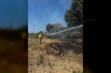 Bilecik’te ot yangını korkuttu 