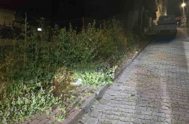 Bilecik’te vatandaşlar otlardan kaldırımda yürüyemiyor 