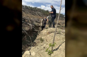 Bilecik’te yangın sahalarında ağaçlandırma çalışmaları incelendi 