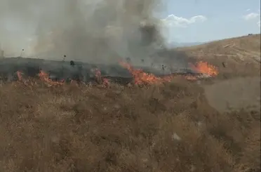 Bingöl’de anız yangını kontrol altına alındı
