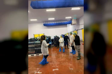 Bingöl’de balık işleme tesisleri denetlendi 
