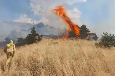 Bingöl’de orman yangını 
