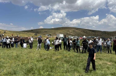 Bingöl’deki Çotla Festivali renkli görüntülere sahne oldu 