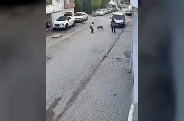 Bir anda koşup havlayan köpek küçük çocuğu korkuttu 