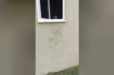 Bir günde 20 eve giren ayı yayla sakinlerini canından bezdirdi 