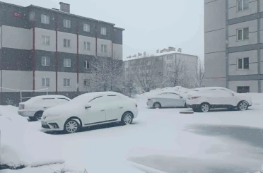 Bitlis nisan ayında yeniden beyaza büründü 