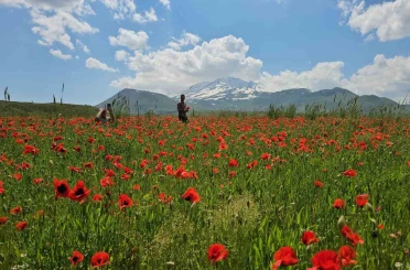 Bitlis’in Adilcevaz ilçesinde gelincik ve karın büyüleyici buluşması 