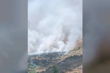 Bitlis’te dağlık alanda yangın: Binlerce arı telef oldu 
