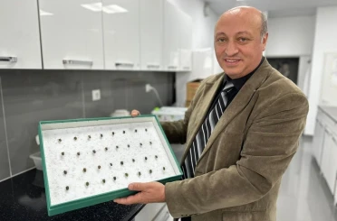 Böcekler cinayetleri aydınlatıyor: Ölüm zamanı ve olay yeri entomolojiyle belirlenebiliyor 