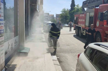 Bodrum katta çıkan yangında 4 kedi son anda kurtarıldı 