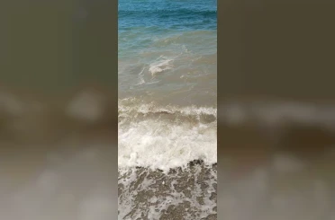 Bodrum’da deniz kirliliği: "Başsavcılık soruşturma başlattı" 