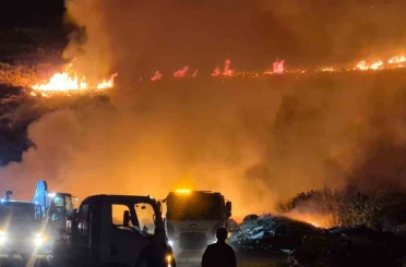 Bodrum’da makilik alanda yangın 