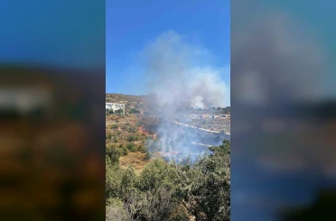 Bodrum’da makilik yangını 