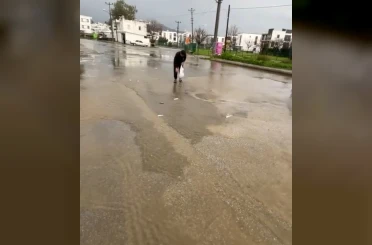 Bodrum’da sağanak baskını: Gölet taştı, asfalta balık yağdı 