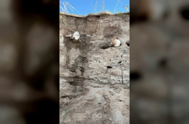 Boğazlıyan’da bulunan insan kemikleri incelemeye alındı 