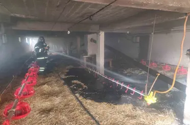 Bolu’da 10 bin kapasiteli kümeste yangın

